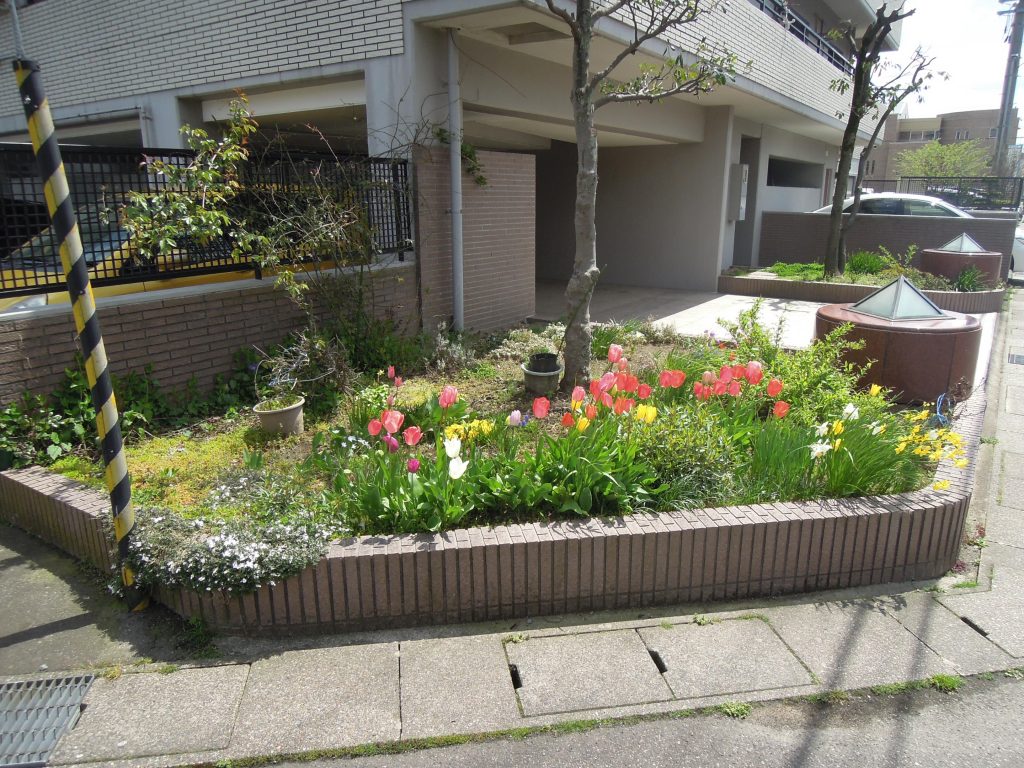 信開ドヌール二の宮／植え込み／物件写真豊富／福井市マンションクリエイト